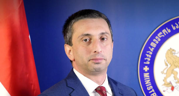საგარეო საქმეთა სამინისტროს ევროატლანტიკური ინტეგრაციის დეპარტამენტის დირექტორის თორნიკე ფარულავას ინფორმაციით, ის უწყებიდან გაათავისუფლეს, მისი მეუღლე კი, პარლამენტის ევროპასთან ინტეგრაციის კომიტეტის აპარატიდან