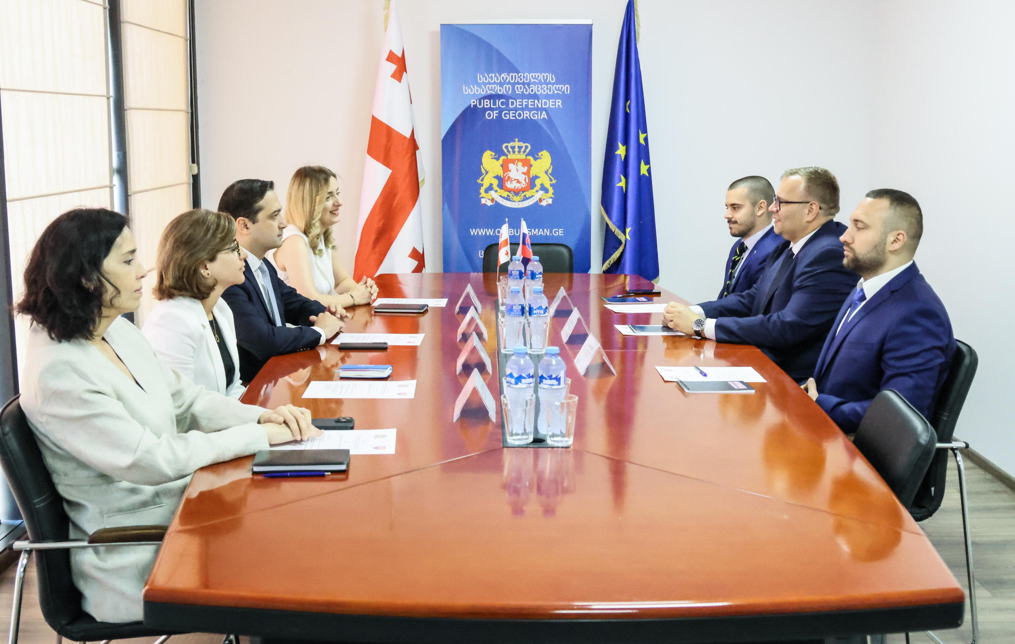 საქართველოს სახალხო დამცველი სლოვაკეთის რესპუბლიკის უფლებათა სახალხო დამცველს შეხვდა