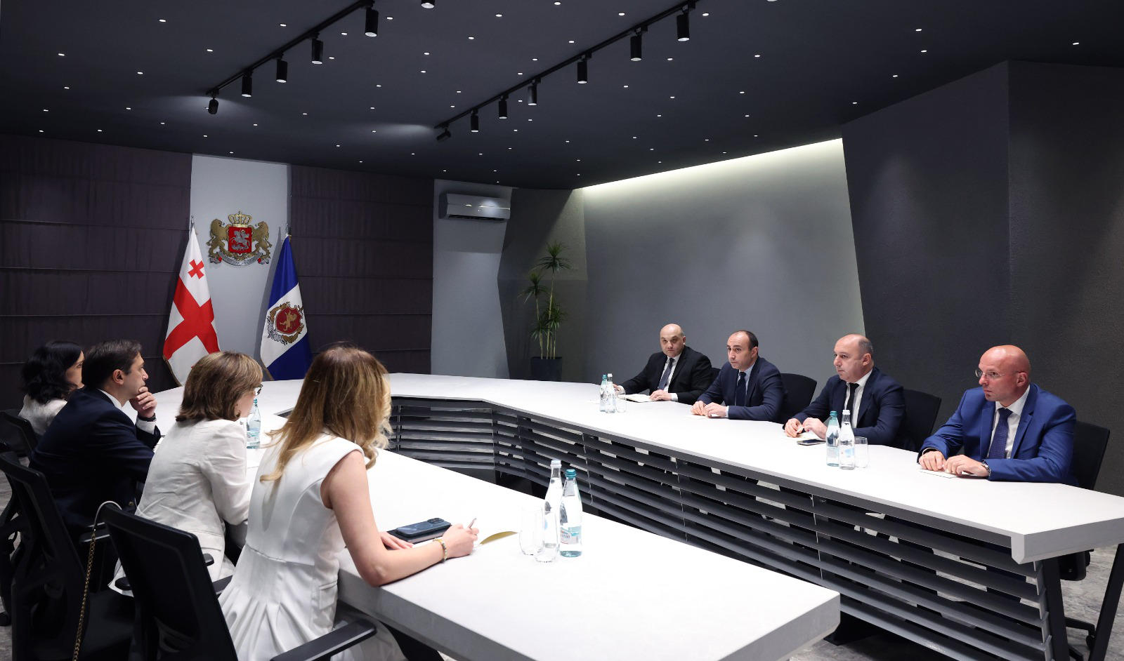 შინაგან საქმეთა მინისტრი სახალხო დამცველს შეხვდა