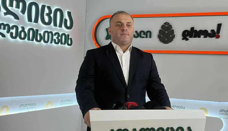 Tengo Tevzadze: We call on the OSCE/ODIHR observation mission not only to monitor the process, but also to respond to cases where monitoring is obstructed or prohibited