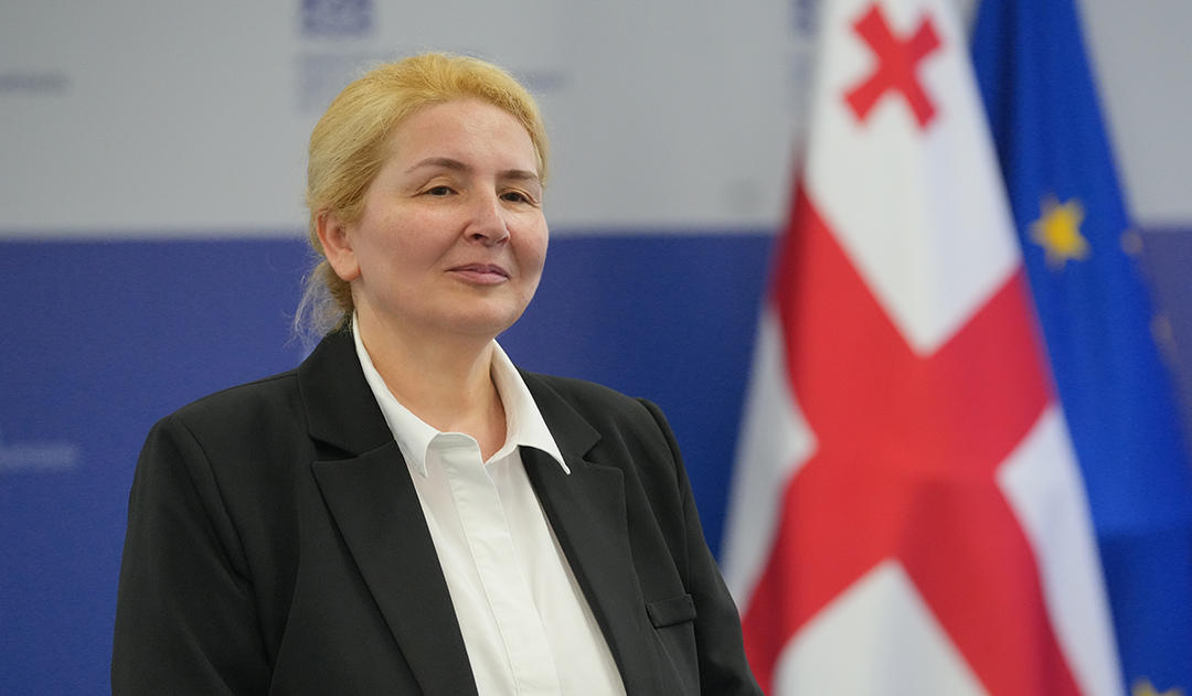 ეკონომიკის მინისტრის მოადგილედ ინგა ფხალაძე დაინიშნა, რომელიც უწყებაში ენერგეტიკის სექტორს გაუძღვება