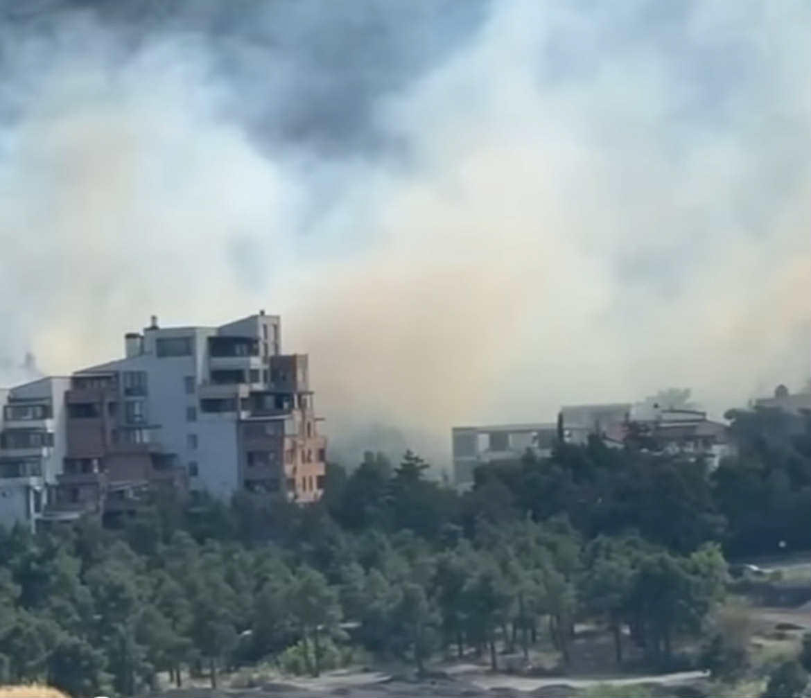 ბაგებში ტყის მასივი იწვის