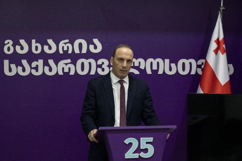 ლევან გოგიჩაიშვილი - მინდა მივმართო თეა წულუკიანს: არ გჭირდებოდათ 450-გვერდიანი დოკუმენტის დაწერა იმის დასადგენად, რომ „ნაცები“ ხართ - კომისიამ დაადგინა, რომ „ოცნება“ სავსეა „ნაცებით“