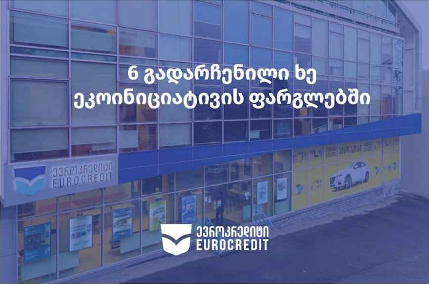 6 გადარჩენილი ხე - „ევროკრედიტი“ აგრძელებს გარემოზე ზრუნვას