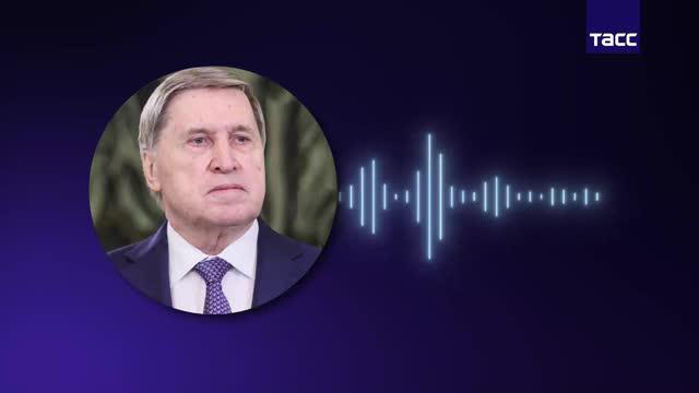 რუსეთის პრეზიდენტის თანაშემწე - ვლადიმერ პუტინისა და დონალდ ტრამპის შეხვედრის მთავარი თემა უკრაინის კრიზისის მოგვარების საკითხი იქნება
