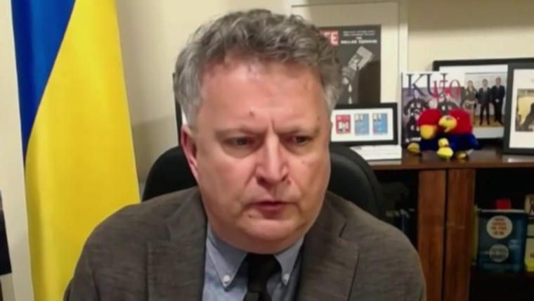 უკრაინის საგარეო საქმეთა მინისტრის მოადგილე - ვოლოდიმირ ზელენსკი მზად არის, ტერიტორიული საკითხები პუტინთან განიხილოს