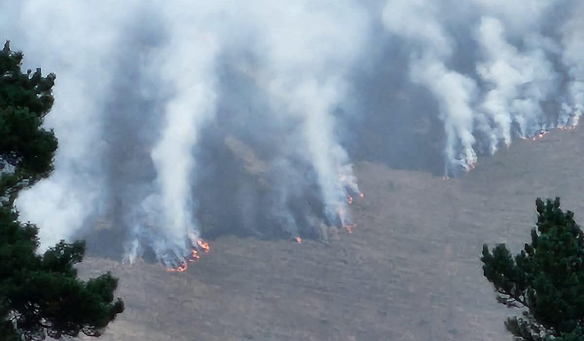 საგანგებო სიტუაციების მართვის სამსახურის ინფორმაციით, თუშეთში, წოვათის ხეობაში გაჩენილი ხანძარი ლიკვიდირებულია