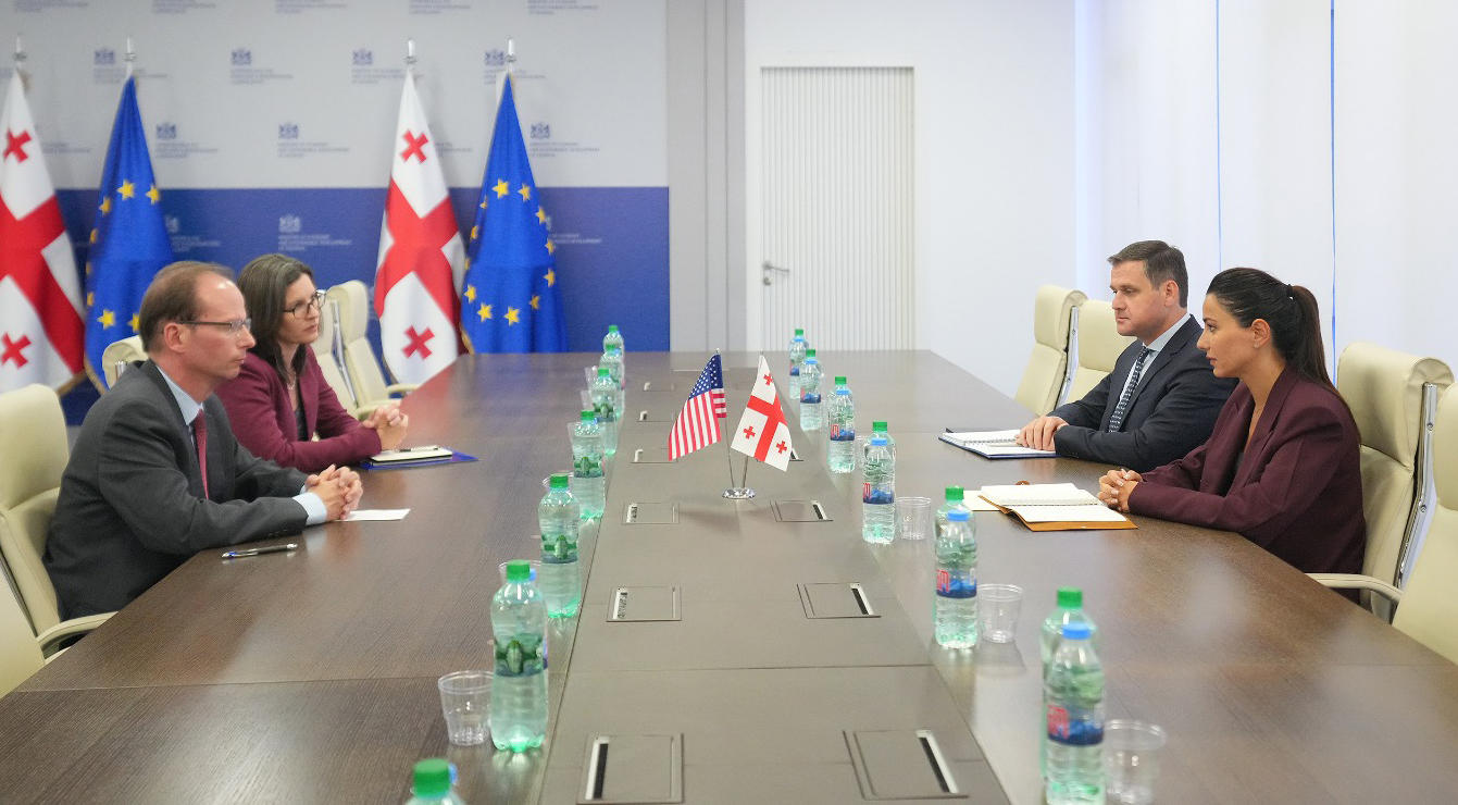 Mariam Kvrivishvili meets with U.S. Chargé d’Affaires Alan Purcell