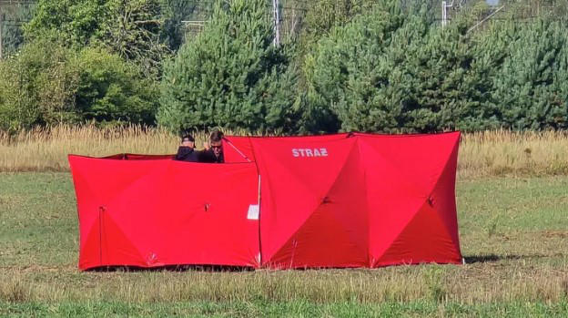 რუსეთის საქმეთა დროებითი რწმუნებული - პოლონეთის ბრალდებებს უსაფუძვლოდ მივიჩნევთ, არანაირი მტკიცებულება არ წარმოუდგენიათ, რომ ჩამოგდებული დრონები რუსულია