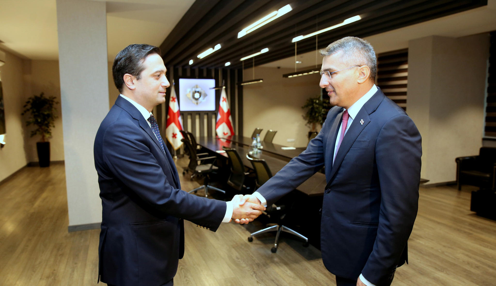 მამუკა მდინარაძე სახალხო დამცველს შეხვდა