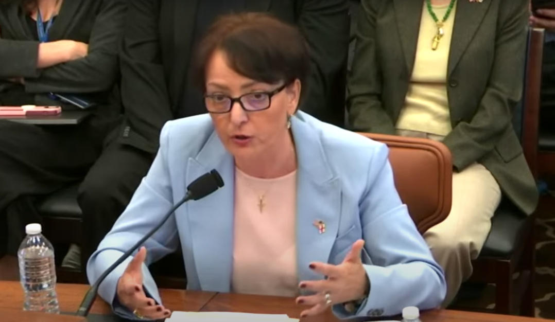 თინა ხიდაშელი - თავისუფალი, დემოკრატიული, დასავლეთზე ორიენტირებული საქართველო მიუღებელია მოსკოვისთვის, თეირანისთვის და პრობლემატურია პეკინისთვის -  "ქართულმა ოცნებამ" აირჩია გზა, რომელიც ამ ავტორიტარულ რეჟიმებს ემსახურება