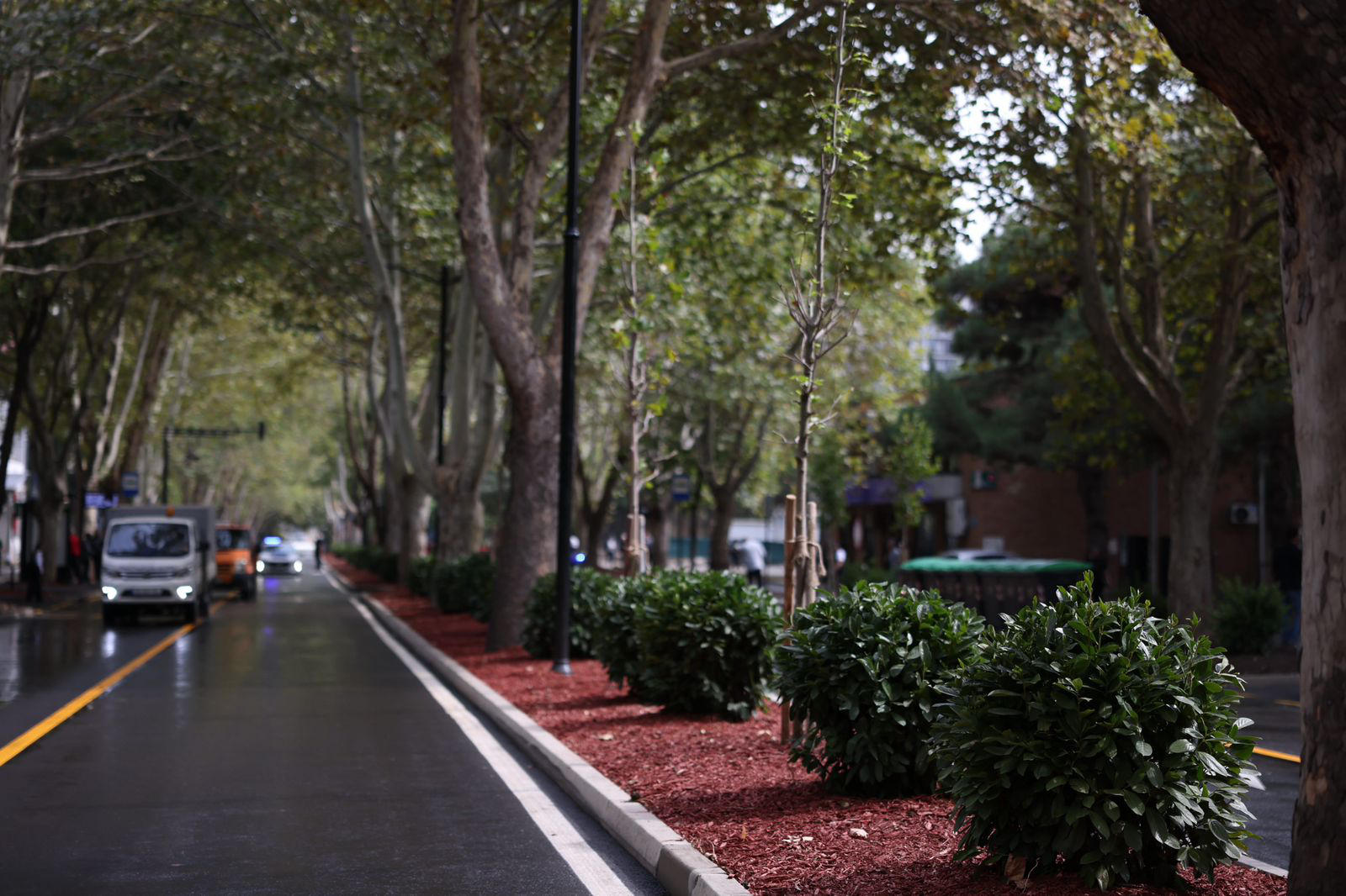 გლდანში სანდრო ახმეტელის რეაბილიტირებული ქუჩა გაიხსნა