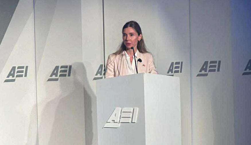 „ნაციონალური მოძრაობა“ - თინა ბოკუჩავამ წამყვანი ამერიკული ანალიტიკური ცენტრის American Enterprise Institute მიერ ორგანიზებულ დისკუსიაში მიიღო მონაწილეობა და სიტყვით გამოვიდა