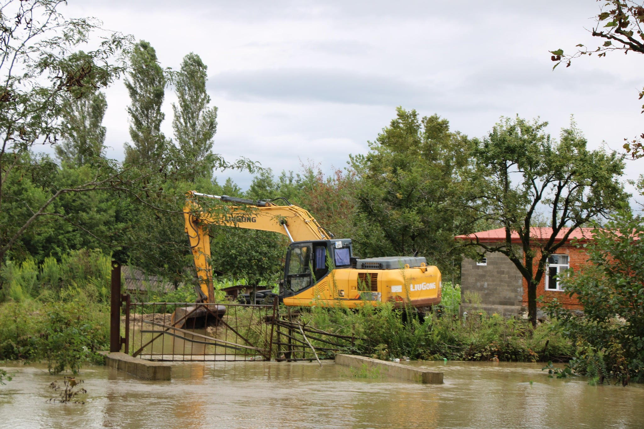 უამინდობამ პრობლემები ხობისა და წალენჯიხის მუნიციპალიტეტებშიც შექმნა