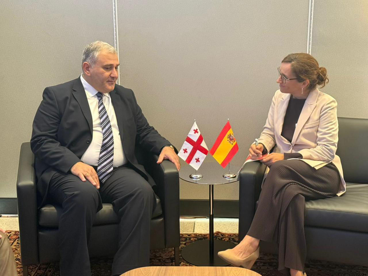 მიხეილ სარჯველაძე, გაეროს გენერალური ასამბლეის ფარგლებში, ესპანეთის ჯანდაცვის მინისტრს შეხვდა