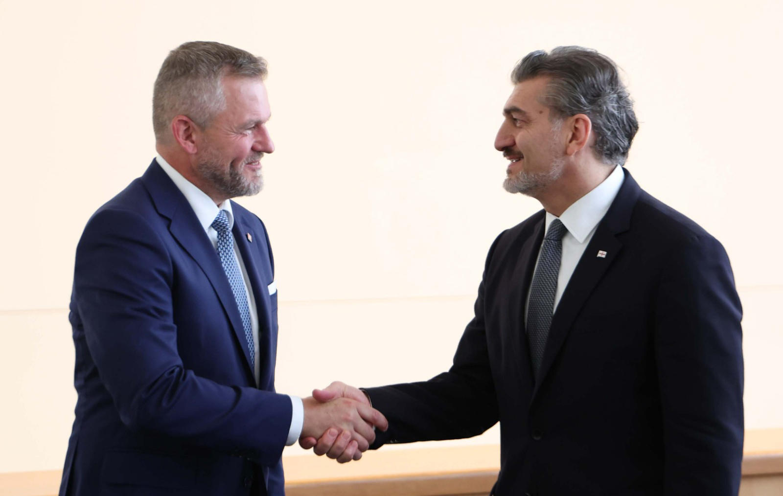 მიხეილ ყაველაშვილი სლოვაკეთის პრეზიდენტს შეხვდა