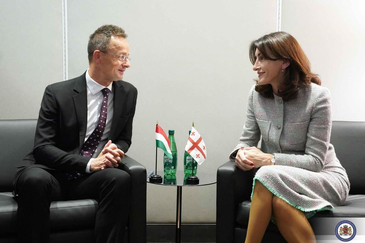 მაკა ბოჭორიშვილი პეტერ სიიარტოს შეხვდა