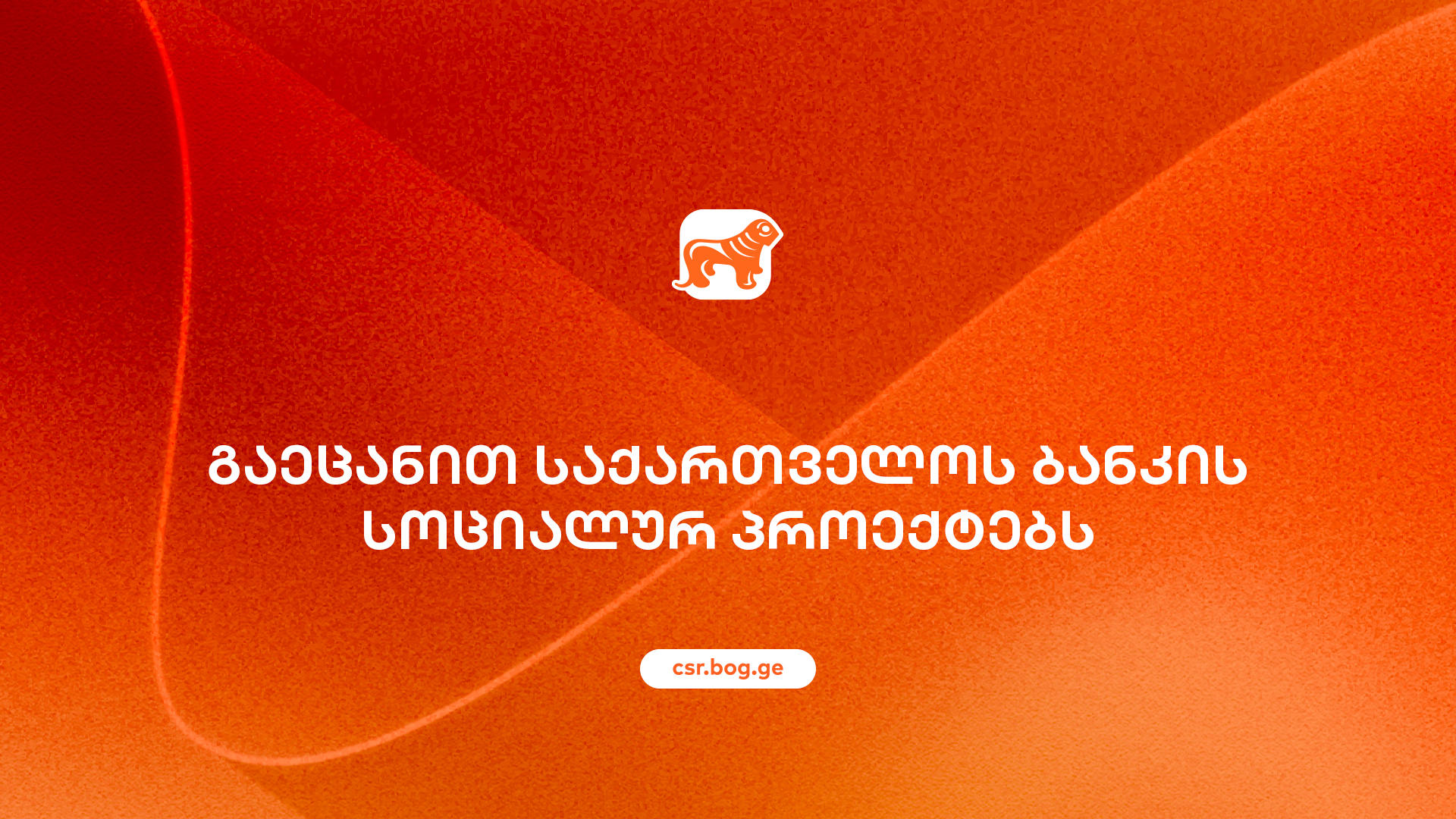 „საქართველოს ბანკის“ სოციალური პასუხისმგებლობის ფარგლებში განხორციელებული პროექტები