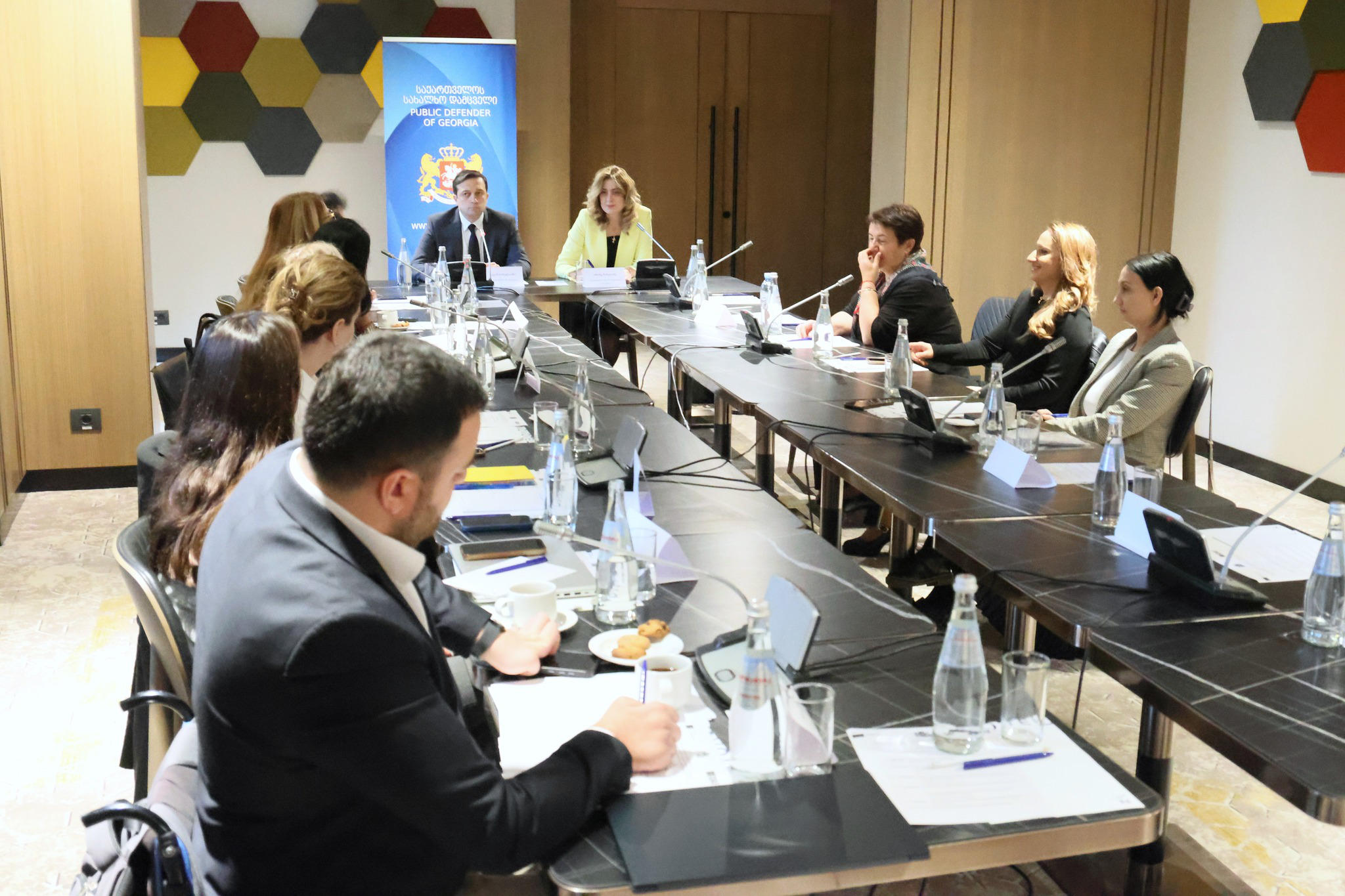 სახალხო დამცველთან არსებული შშმ პირთა უფლებების კონვენციის პოპულარიზაციის, დაცვისა და იმპლემენტაციის მონიტორინგის საკონსულტაციო საბჭოს სხდომა გაიმართა