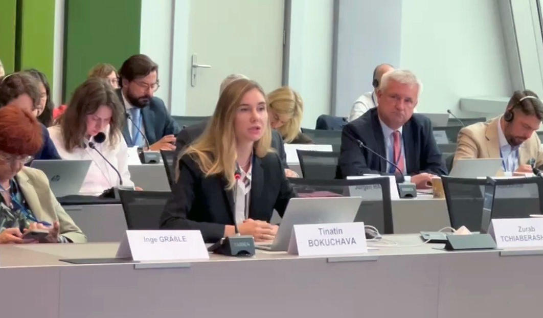 თინა ბოკუჩავა EPP-ის შეხვედრაზე - საქართველოში მდგომარეობა სულ უფრო და უფრო მძიმდება - დროული და აუცილებელია რეზოლუციის მიღება საქართველოში დემოკრატიისა და კანონის უზენაესობის დასაცავად, რომელიც საგანგებო დებატის შედეგად იქნება