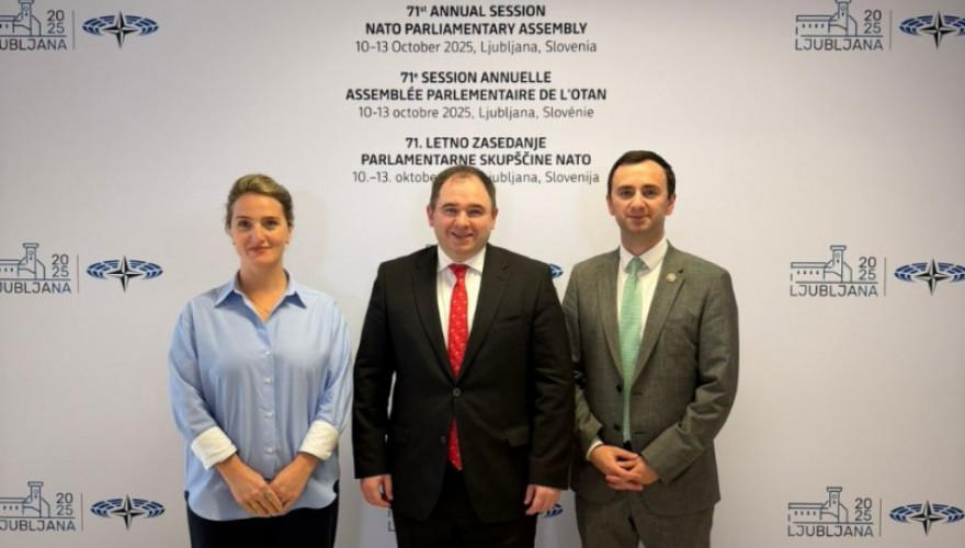 საქართველოს პარლამენტის დელეგაცია სლოვენიაში ნატო-ს საპარლამენტო ასამბლეის ყოველწლიურ სესიაში მონაწილეობს