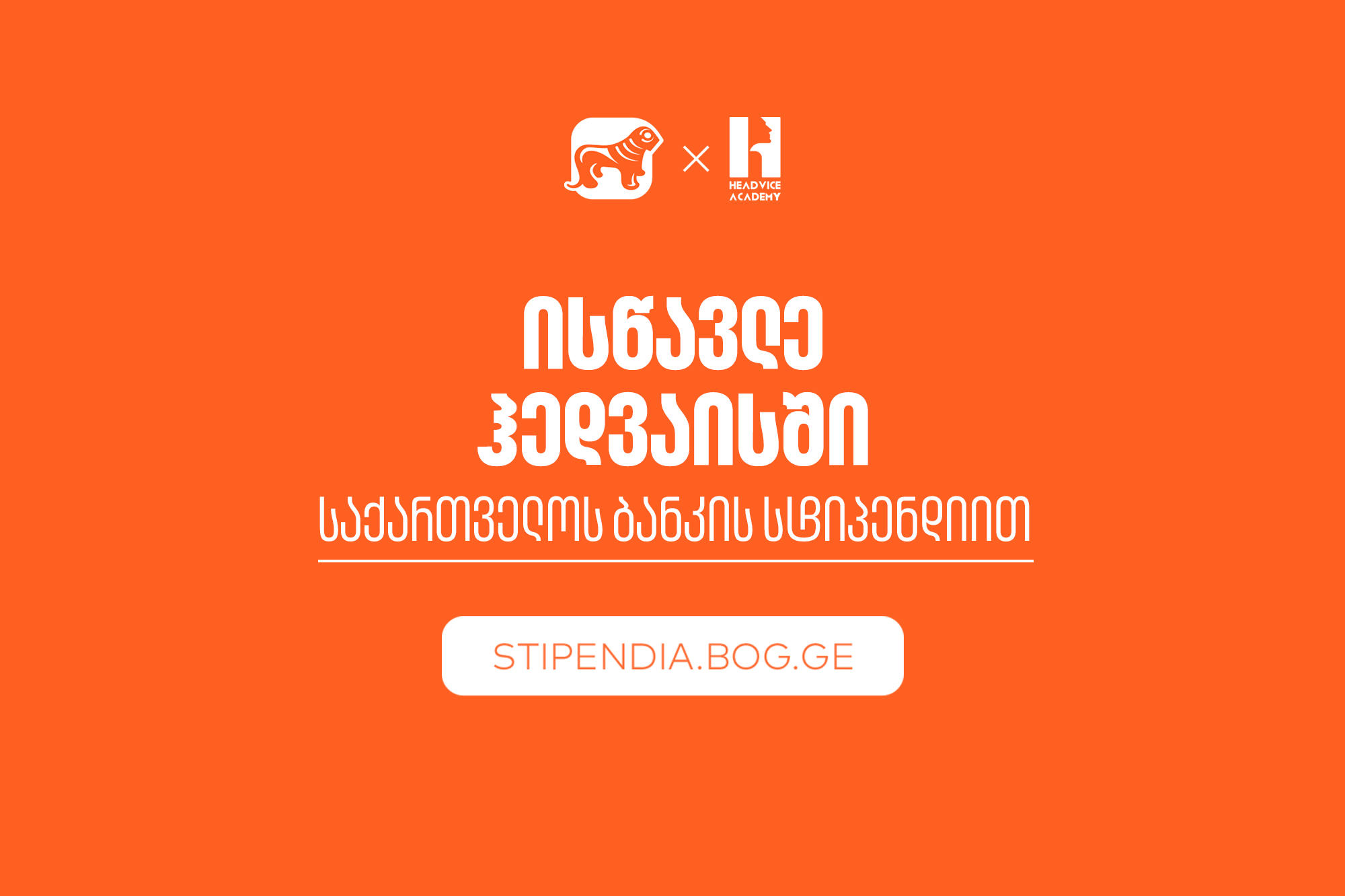 გახდი "საქართველოს ბანკის" სტიპენდიატი ჰედვაის აკადემიაში - დაეუფლე ახალ პროფესიას სრული დაფინანსებით