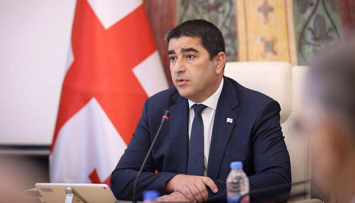 შალვა პაპუაშვილი ელინა ვალტონენის საოკუპაციო ხაზთან ჩასვლაზე - რა ფასი აქვს ოძისში სუვერენიტეტის მხარდაჭერის განცხადებას, როცა სუვერენიტეტს თავად არღვევ რუსთაველის გამზირზე