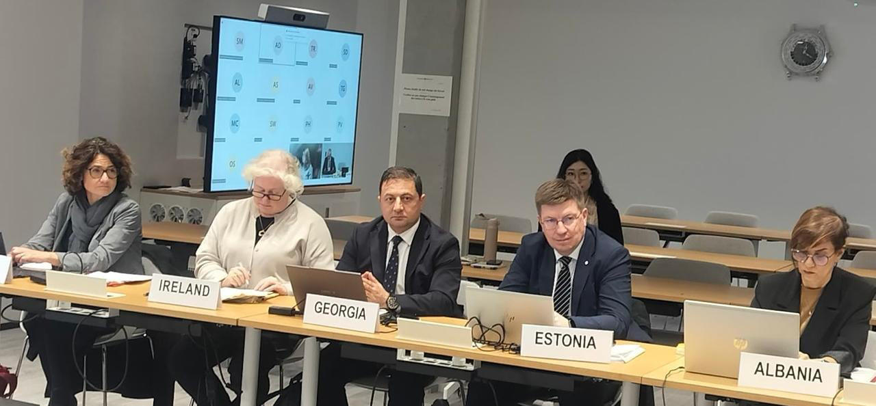 გოგიტა თოდრაძე ევროპის სტატისტიკოსთა ბიუროს სხდომაში მონაწილეობს