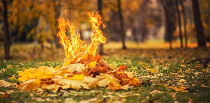 გარემოსდაცვითი ზედამხედველობის დეპარტამენტი, მოქალაქეებს მოუწოდებს, არ დაწვან ეზოში მოგროვებული ფოთლები და იმოქმედონ კანონის შესაბამისად, წინააღმდეგ შემთხვევაში, მათ ჯარიმის გადახდა მოუწევთ