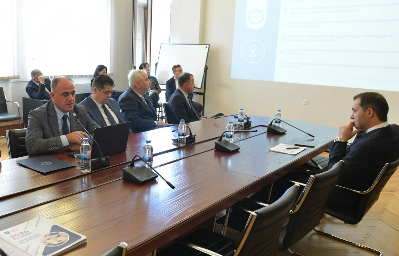 დავით ნარმანიამ სემეკის 2023-2024 წლების საქმიანობის ანგარიში ეკონომიკური პოლიტიკის კომიტეტის სხდომაზე წარადგინა