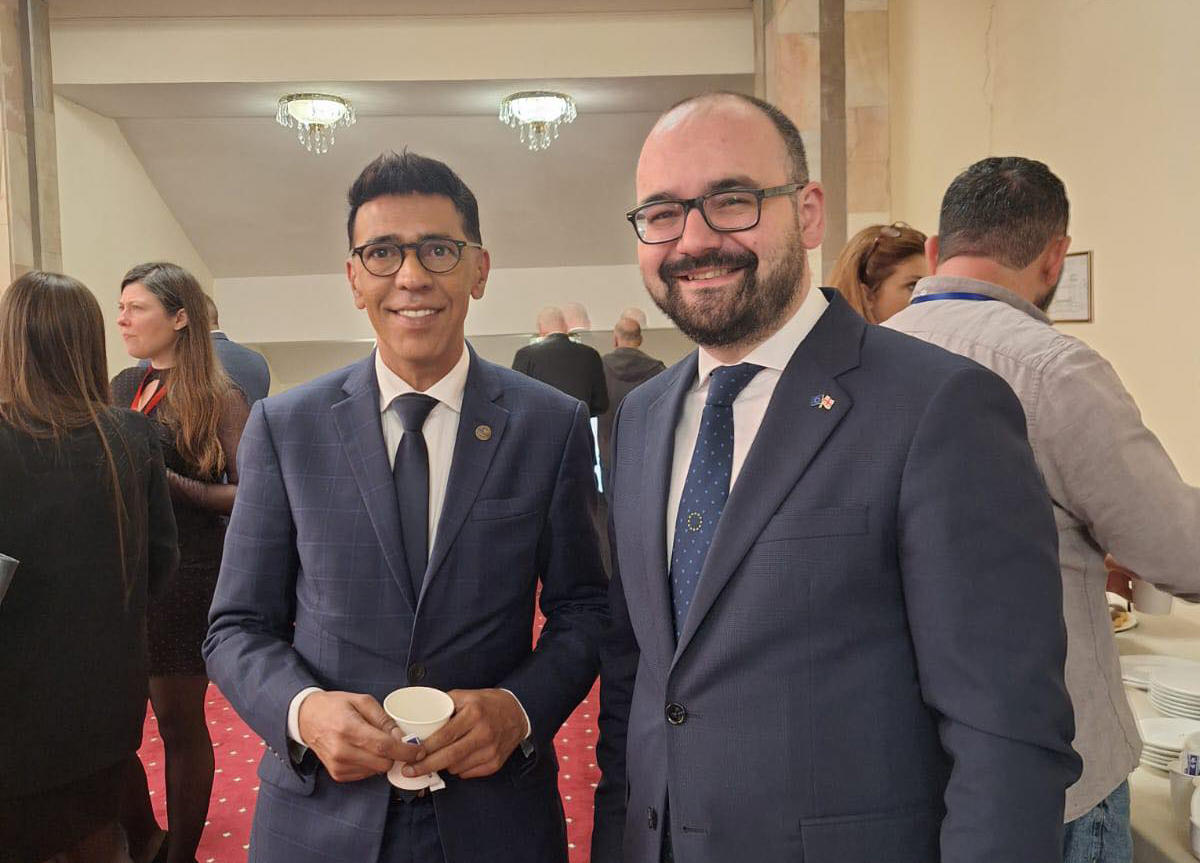 გრიგოლ გეგელია ევროპარლამენტის ვიცე-პრეზიდენტს შეხვდა