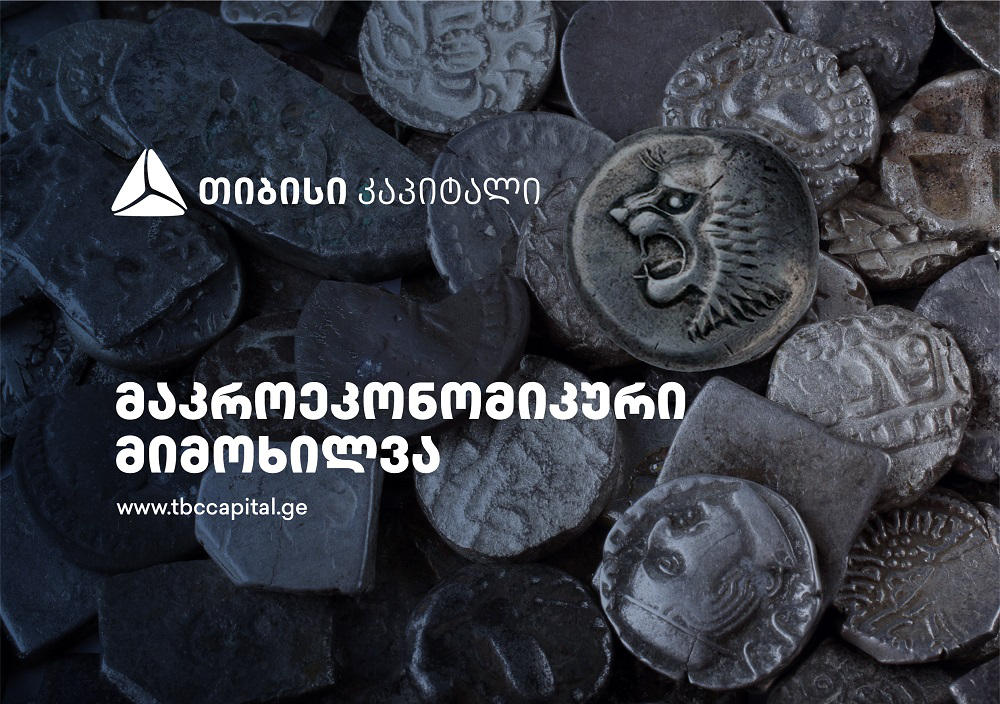 თიბისი კაპიტალმა ყოველთვიური მაკროეკონომიკური მიმოხილვა გამოაქვეყნა - ლარიზაციის დინამიკა განახლდა