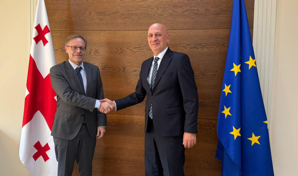 ზაზა ვაშაყმაძე საფრანგეთის ახლად დანიშნულ ელჩს შეხვდა