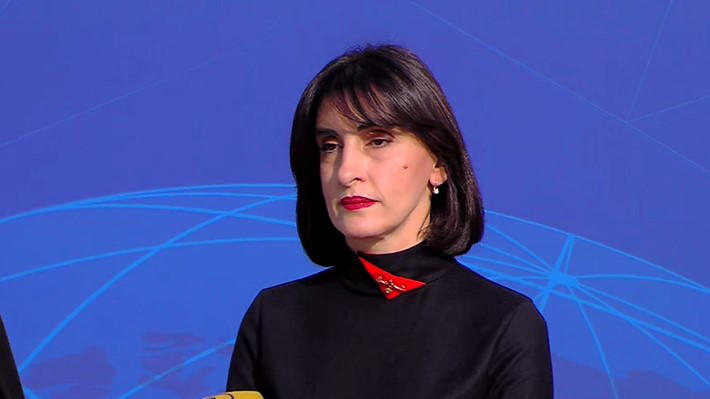 Maka Botchorishvili: No one in Georgia curses or attacks foreign diplomats