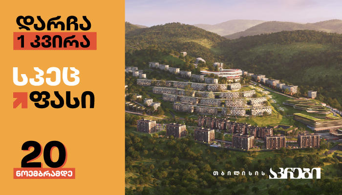 სპეცფასი „თბილისის აკრებისგან“ - 20 ნოემბრამდე