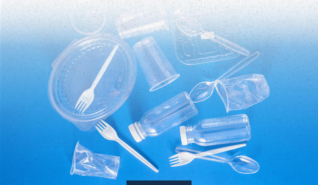 2026 წლის 1-ელი იანვრიდან საქართველოში სურსათთან შეხებისათვის განკუთვნილი პლასტმასის გარკვეული საგნების მოხმარება იკრძალება