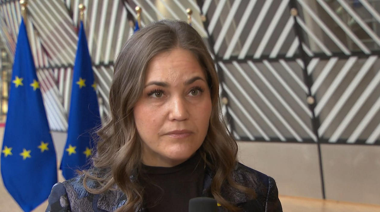 დანიის ევროპის საქმეთა მინისტრი - საქართველო დღითიდღე უფრო და უფრო შორდება ევროკავშირს