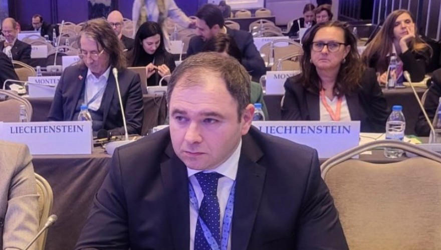 პარლამენტი - ნიკოლოზ სამხარაძემ ეუთო-ს საპარლამენტო ასამბლეის სესიაზე ოკუპაციის მძიმე შედეგებზე ისაუბრა