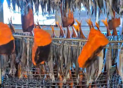 სეს - თევზის ორ საწარმოში კრიტიკული შეუსაბამობა გამოვლინდა, 9-ში კი ინფორმაციის მიწოდების წესის დარღვევა, სხვა შემთხვევებში, ხიზილალისა და თევზის საწარმოებში იყენებენ კანონმდებლობით განსაზღვრულ საღებავებს და ეტიკეტი შეიცავს ინფორმაციას საკვებდანამატებზე