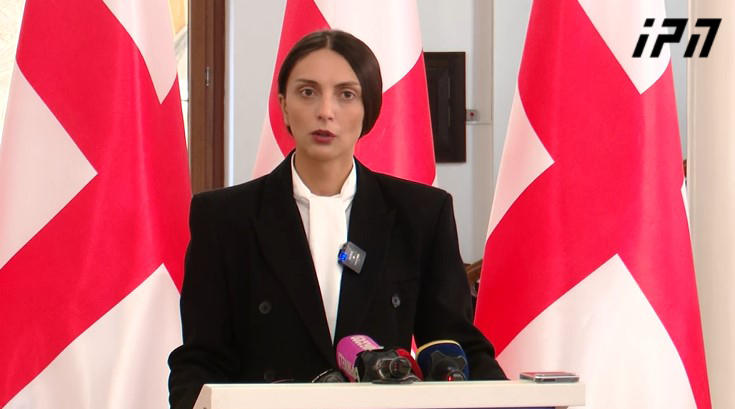 ვიკა ფილფანი 28 ნოემბრის აქციაზე - ჩვენ არ ვიქნებით არსად, სადაც იქნება „ნაცმოძრაობა“