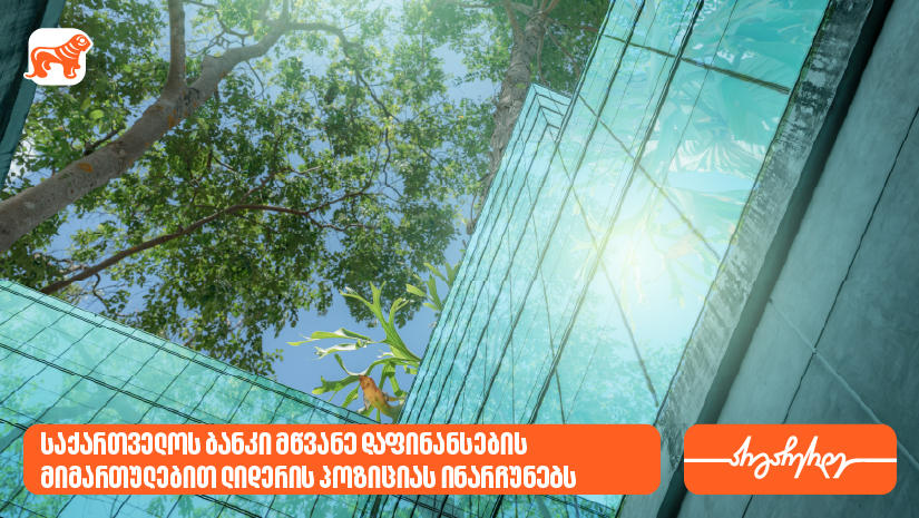 ეროვნული ბანკი: „საქართველოს ბანკი“ მწვანე დაფინანსების მიმართულებით ლიდერის პოზიციას ინარჩუნებს