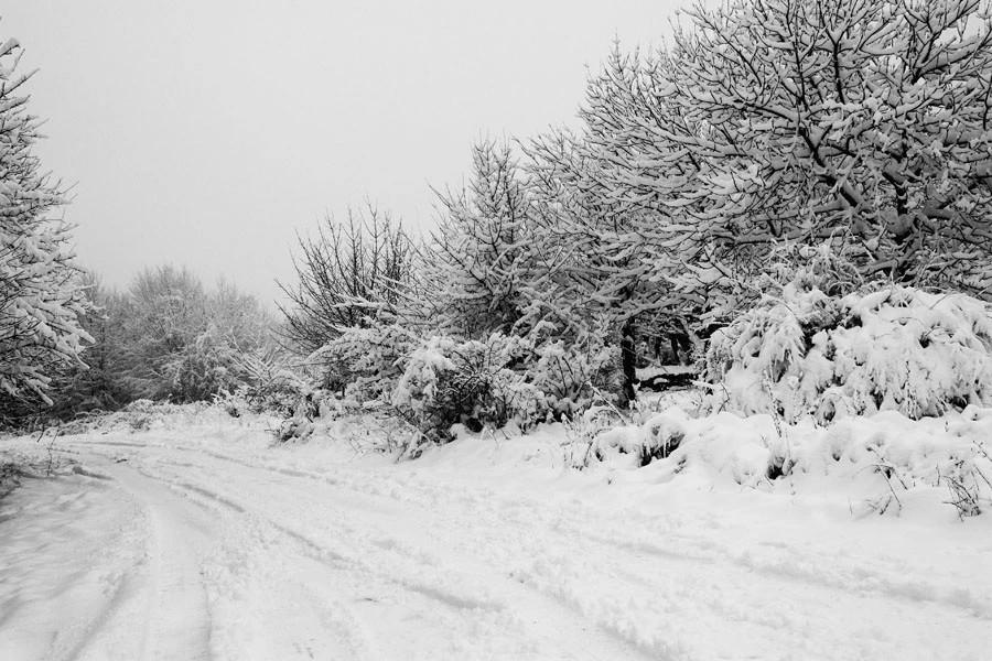 ნიჩბისი-დიდგორი-დიდი თონეთის გზაზე მისაბმელიანი და ნახევრადმისაბმელიანი ავტოტრანსპორტის მოძრაობა აკრძალულია