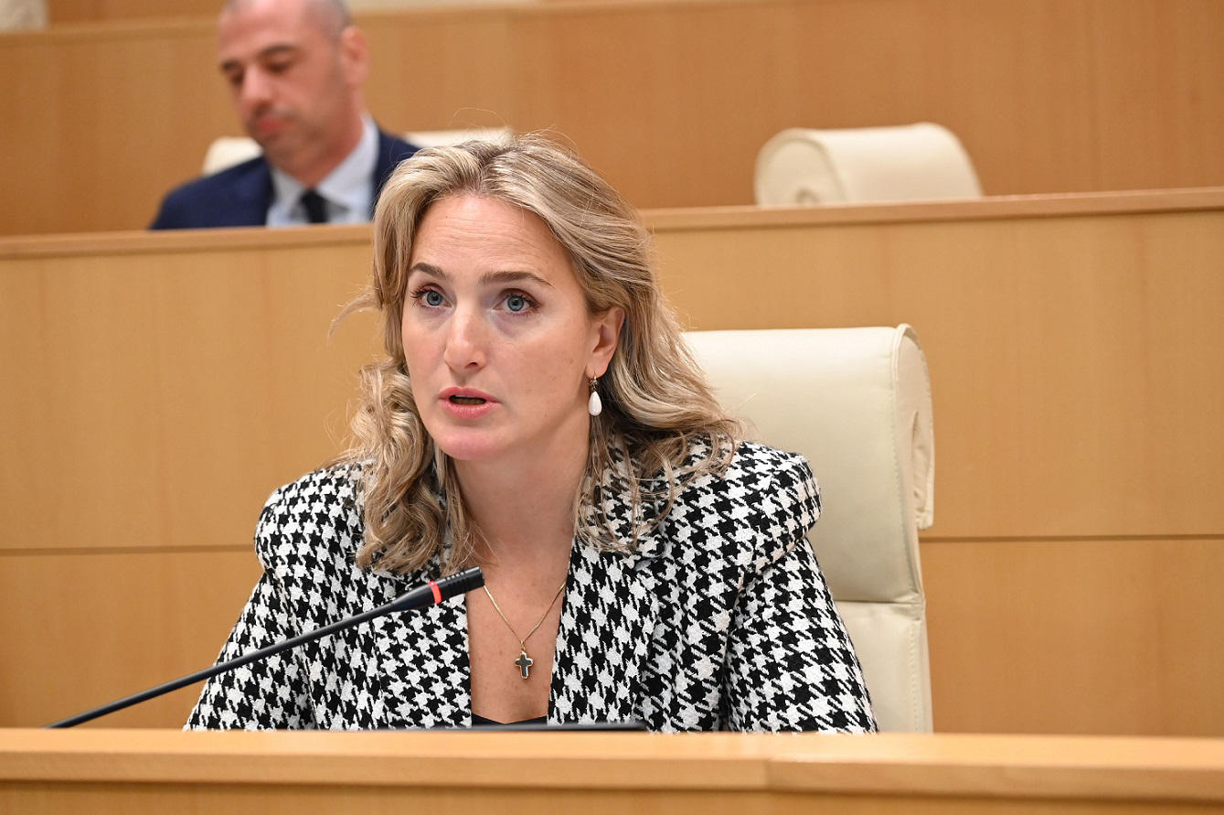 მარიამ ლაშხი - პირველად დამოუკიდებელი საქართველოს ისტორიაში, სახელმწიფო უნივერსიტეტებში სწავლა სრულად უფასო იქნება - დასრულდება დაუსაქმებელი დიპლომიანი სტუდენტების ეპოქა