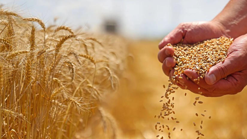 UNESCO-მ „ქართული ხორბლის კულტურა: ტრადიციები და რიტუალები“ კაცობრიობის არამატერიალური კულტურული მემკვიდრეობის წარმომადგენლობით ნუსხაში შეიტანა