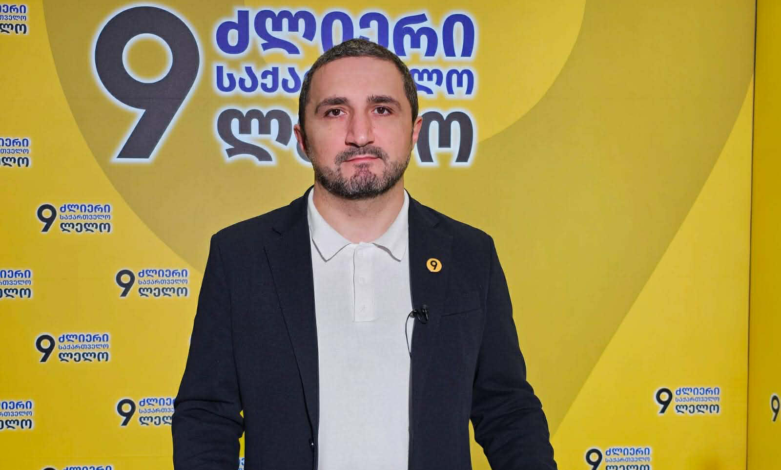 ნიკა ჩერქეზიშვილი - ფაქტია, განათლების სტრატეგია დღეს წარმოადგენს არა პროფესიულ, არამედ პარტიული პოლიტიკის პროექტს