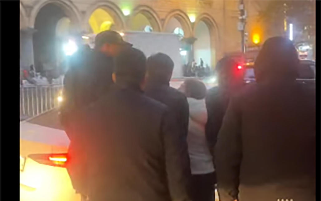 არსებული ინფორმაციით, აქტივისტი ნენე გაბლაია დააკავეს