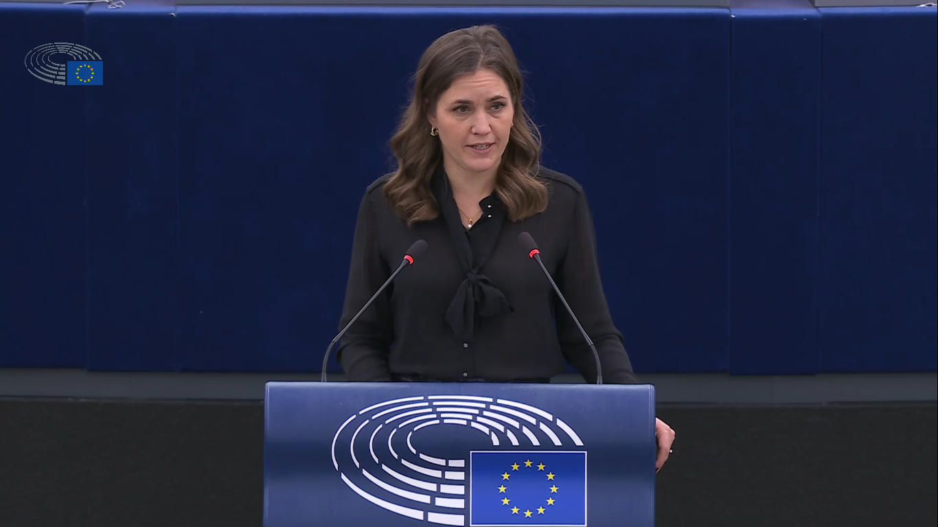 მარი ბიერე - საქართველოს ევროკავშირში გაწევრიანების პროცესი რეალურად გაჩერებულია და ასე იქნება, ვიდრე საქართველოს მთავრობა არ გამოაჩენს მტკიცე მზაობას, შეაბრუნოს კურსი და დაუბრუნდეს ევროკავშირში გაწევრიანების გზას