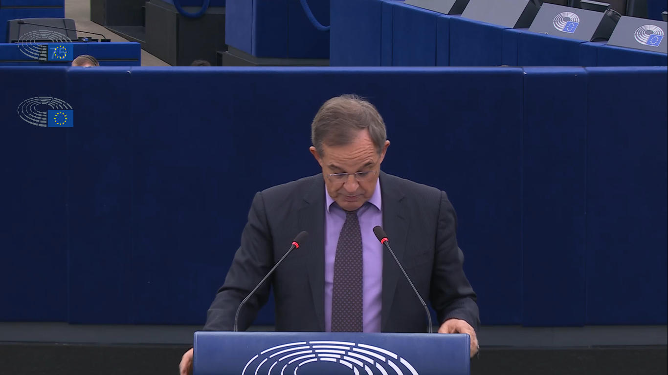 MEP: You dream of overthrowing the Georgian Government - You accuse it of wrongdoing while it is trying to protect the constitutional order and resist attempts at destabilization