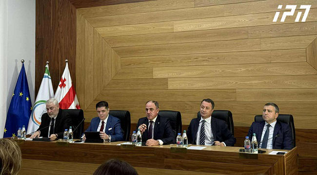 ელექტროენერგიის სამომხმარებლო ტარიფთან დაკავშირებული ცვლილებები სამი თვით გადავადდა