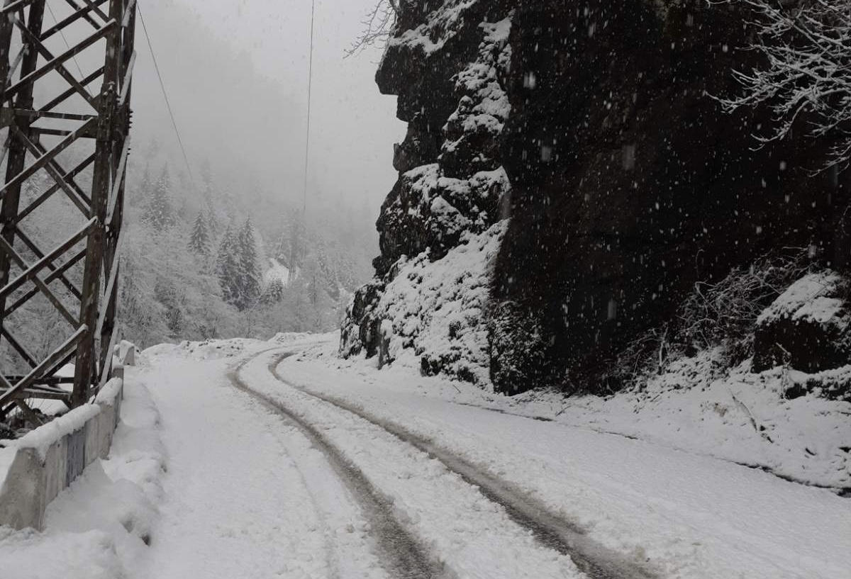 საავტომობილო გზების დეპარტამენტი გზებზე ამ დროისთვის არსებული ვითარების შესახებ ინფორმაციას ავრცელებს